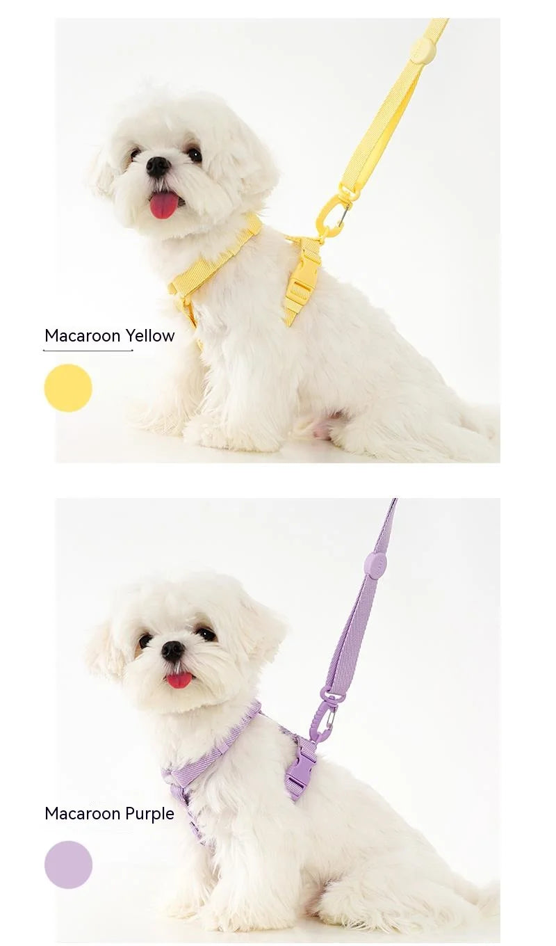 🌈🐾 Macaron Color Dog Harness Collar & Leash Set – Reflective