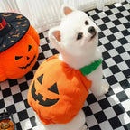 Halloween Pumpkin Dog Costume – Funny Hat & Jacket Outfit