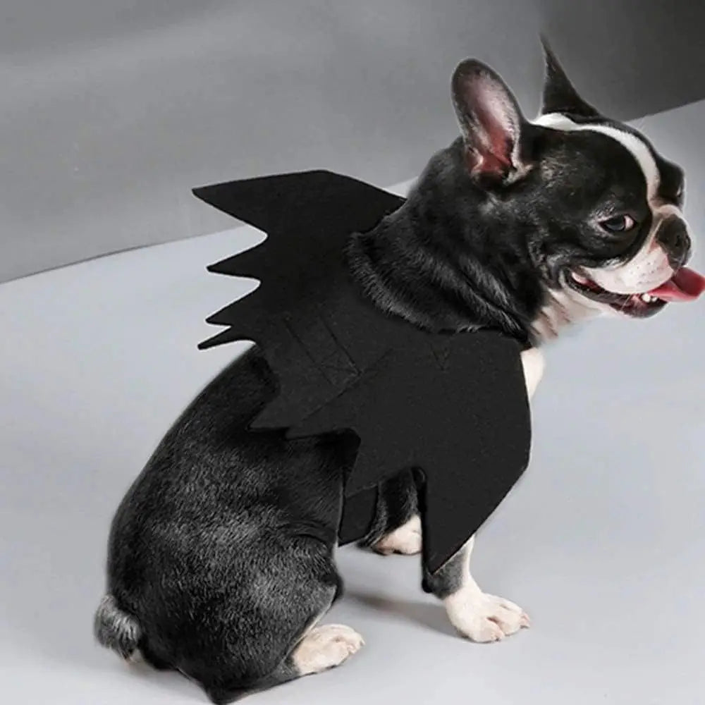 Black Bat Wings Pet Costume – Halloween Cat & Dog Cosplay