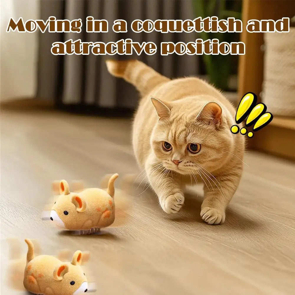 Compact electric mouse fidget toy for curious indoor cats