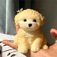 Teddy dog M