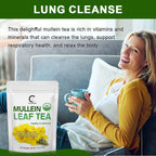 🌿 Mullein Leaf Tea Bags – Caffeine-Free Herbal Tea for Lung & Respiratory Wellness (28 or 60 Bags)