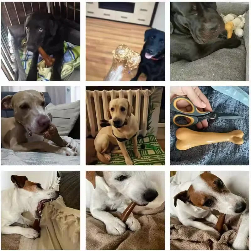 🦴🐶 Heavy Duty Dog Bone Chew Toy – Natural & Non-Toxic
