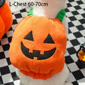 Halloween Pumpkin Dog Costume – Funny Hat & Jacket Outfit