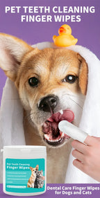 Pet Disposable Finger Toothbrush Wipes – Dog & Cat Oral Cleaning