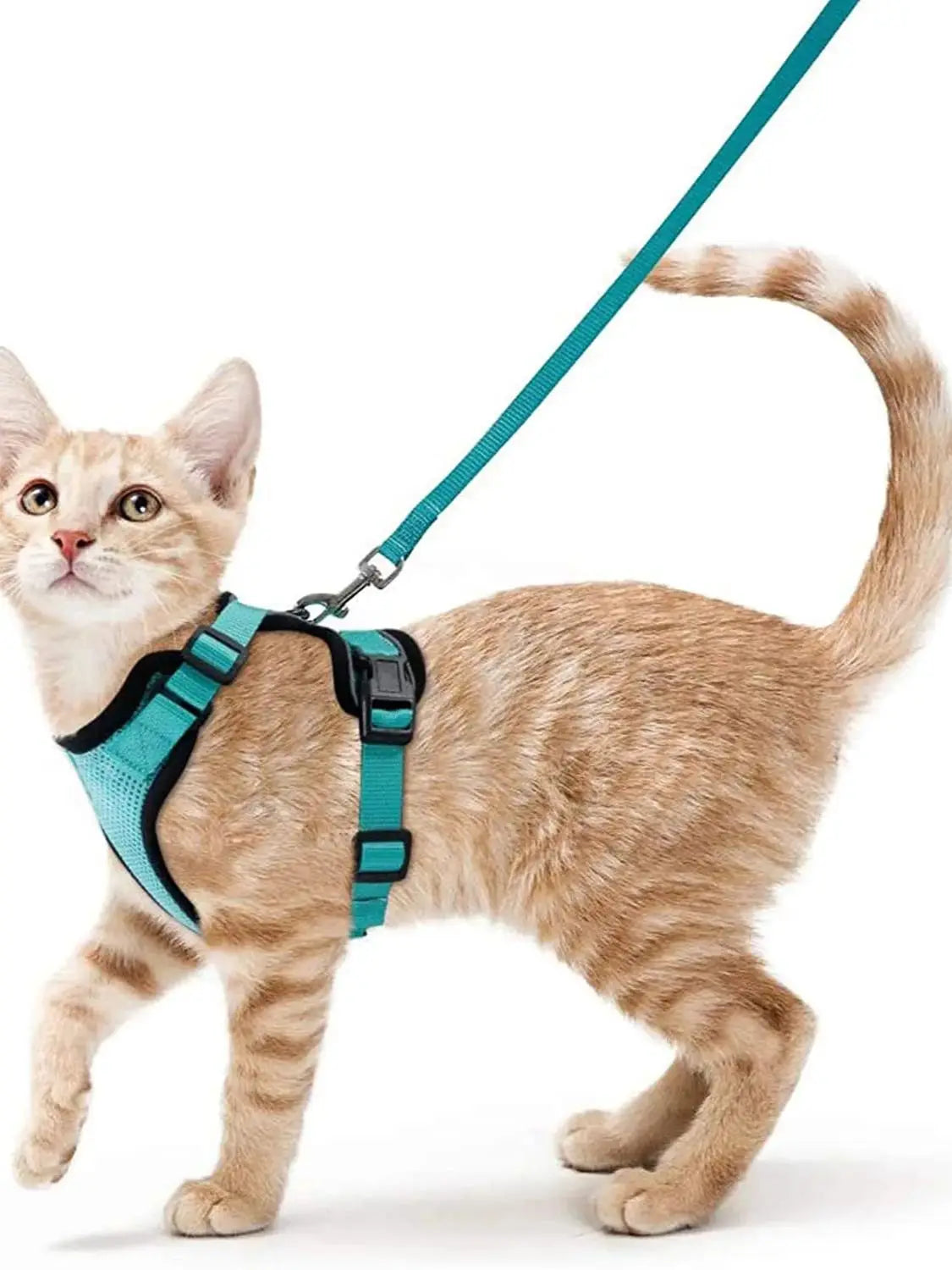 🐱🐾 Escape-Proof Cat Harness and Leash | Soft Adjustable Vest Harness for Walking 🌿 | Easy Control & Comfortable Outdoor Cat Gear