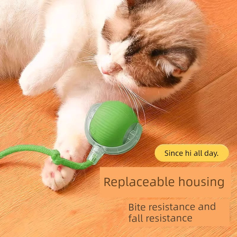 🐾 Cat Intelligent Dodgeball 🎾 Automatic Funny Cat Ball 🐱 Electric Interactive Toy ⚡ Bite & Fall Resistant 💪 Type‑C Charging 🔋