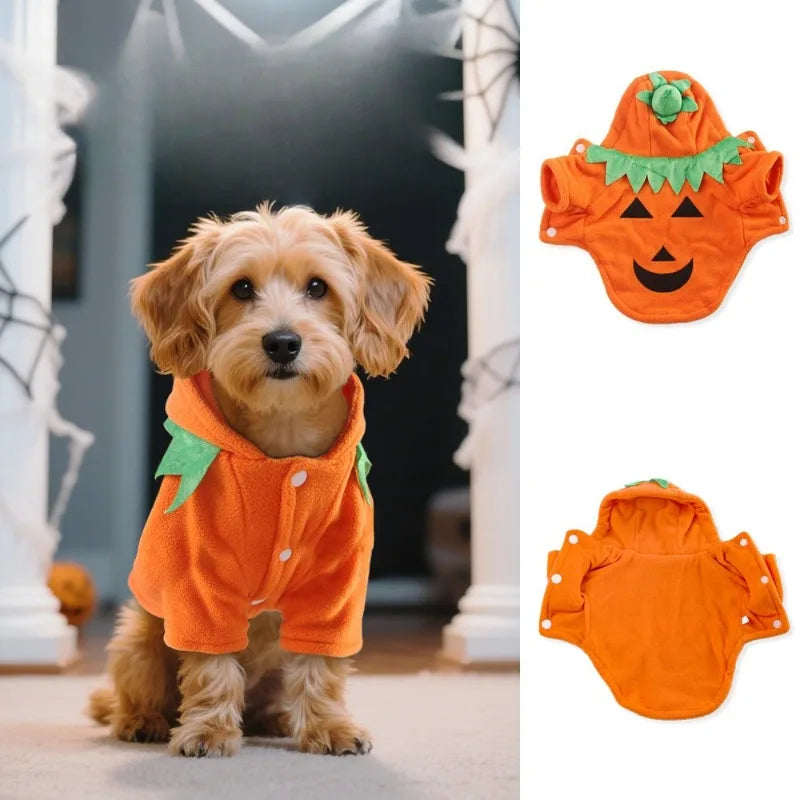 Halloween Pumpkin Pet Costume – Cute Outfit for Dogs & Cats