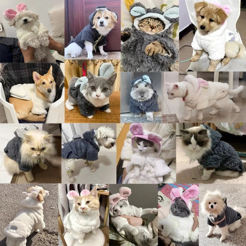Warm Plush Pet Dog Jacket Coat Bear Pattern Dog Clothes Winter Puppy Costumes