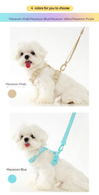 🌈🐾 Macaron Color Dog Harness Collar & Leash Set – Reflective