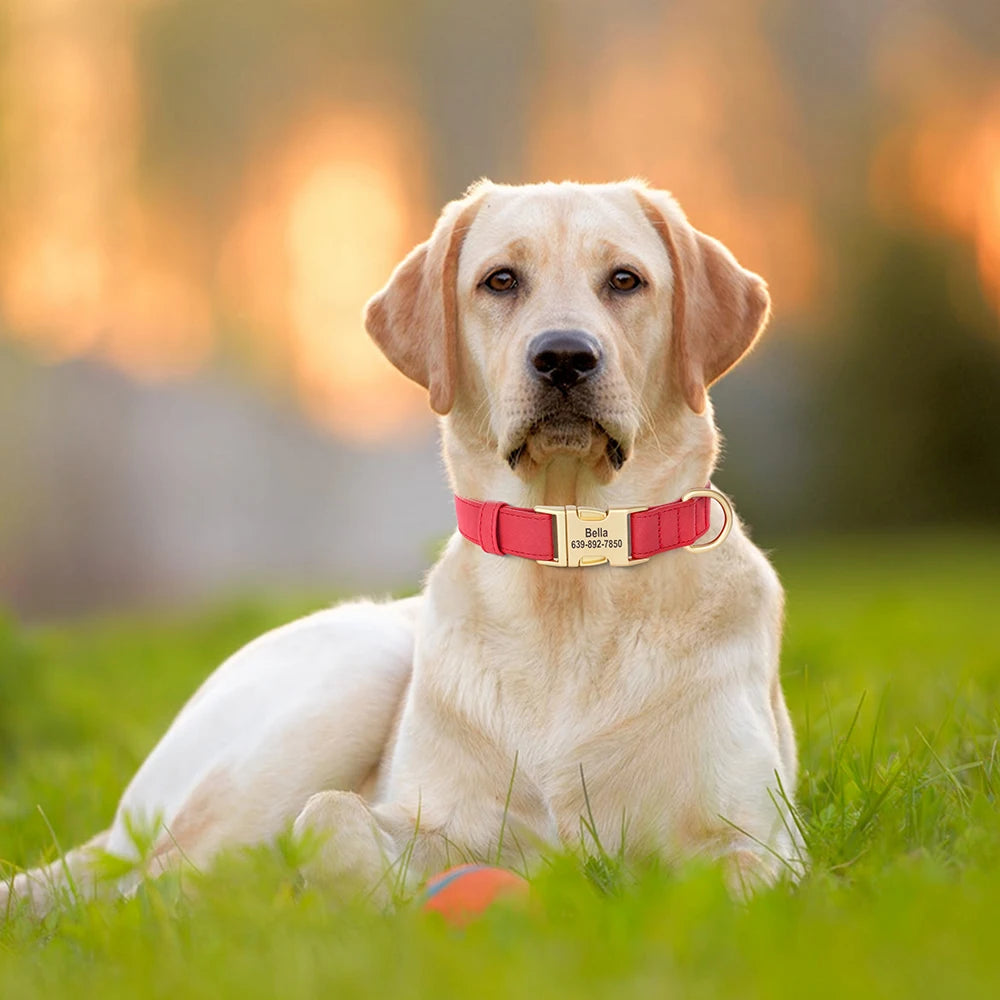 PU Leather Dog Collar with Free Custom Engraved Nameplate, Adjustable Anti‑Lost Buckle Collar for All Dog Sizes