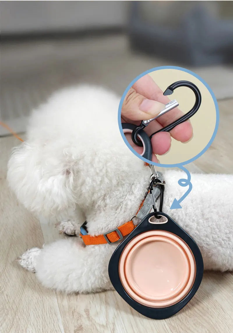 🐾🥣 Folding Silicone Pet Travel Bowl – Collapsible Outdoor Feeder