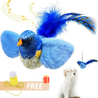 Blue Cat Bird