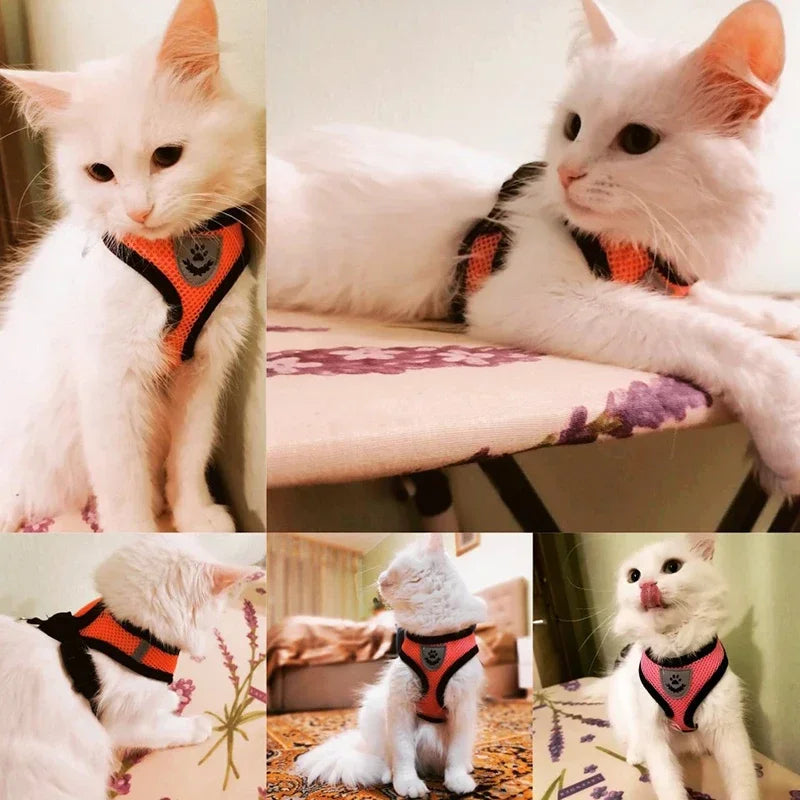 🐾🎽 Adjustable Mesh Cat & Small Dog Harness Vest with Leash