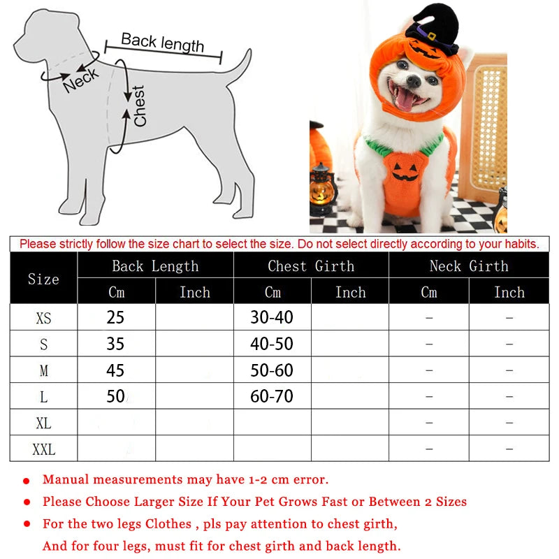 Halloween Pumpkin Dog Costume – Funny Hat & Jacket Outfit