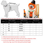 Halloween Pumpkin Dog Costume – Funny Hat & Jacket Outfit