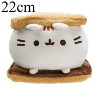 22cm