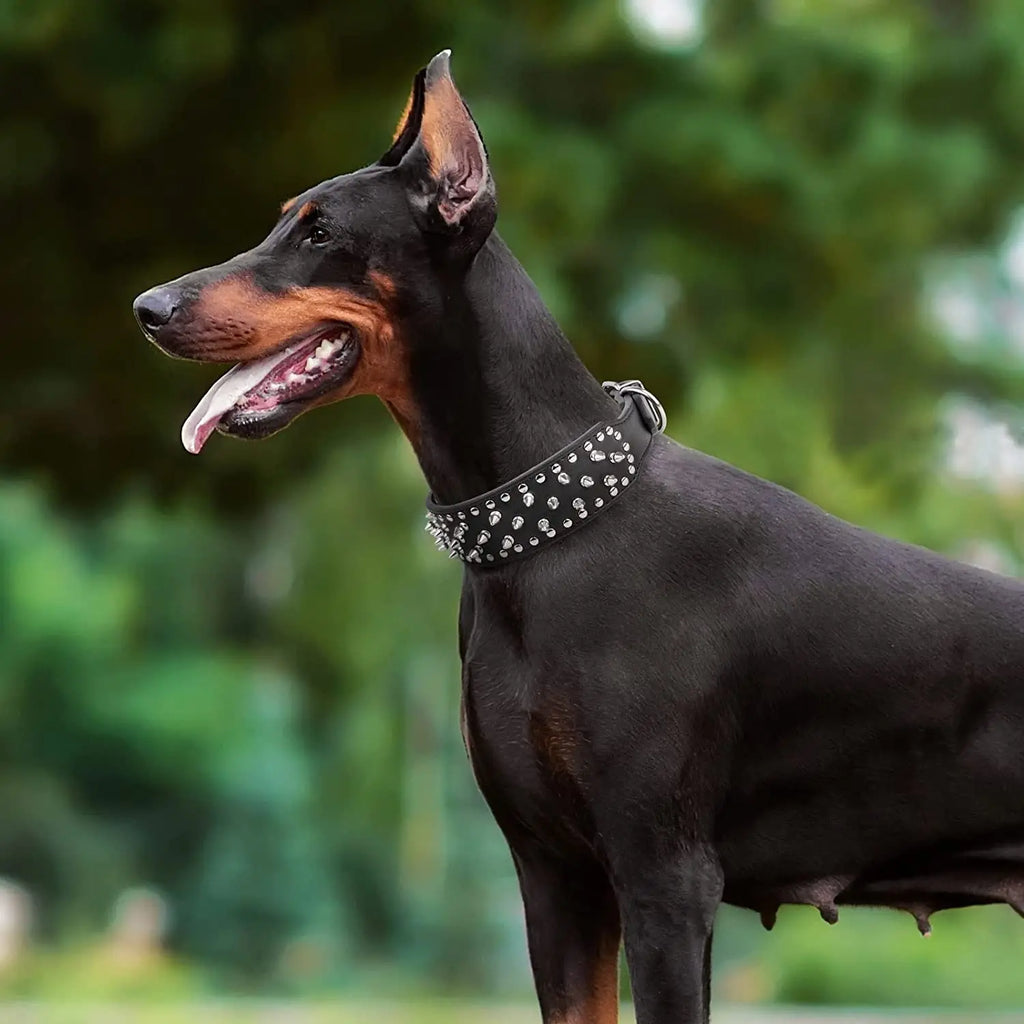 🐕🛡️ Spiked Large Dog Collar – PU Leather Collar for Medium to Large Breeds (L–3XL) | Pitbull, Mastiff, Boxer