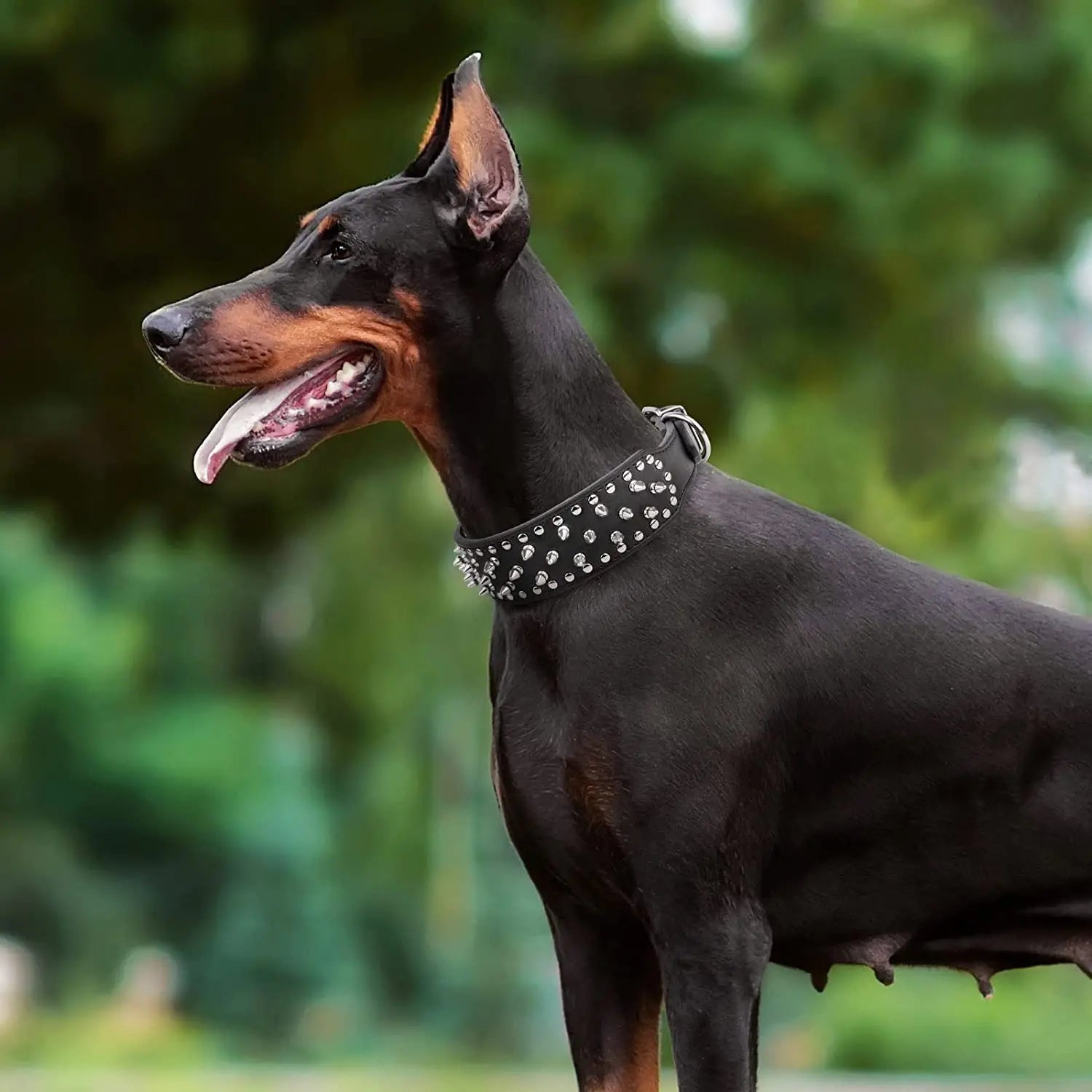 🐕🛡️ Spiked Large Dog Collar – PU Leather Collar for Medium to Large Breeds (L–3XL) | Pitbull, Mastiff, Boxer