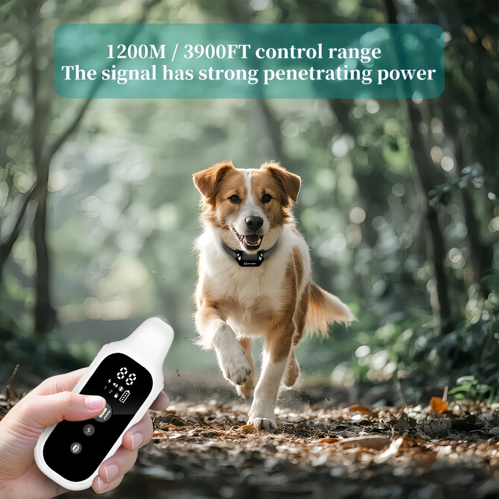 🐶📡 875 yards (800m) Digital Dog Training Collar – Waterproof Rechargeable with LCD