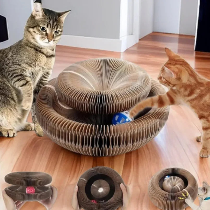 🐱🌀 Foldable Magic Organ Cat Scratching Board & Bed