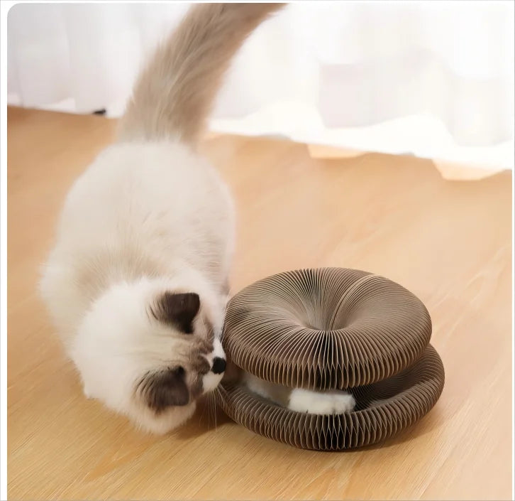 🐱🌀 Foldable Magic Organ Cat Scratching Board & Bed