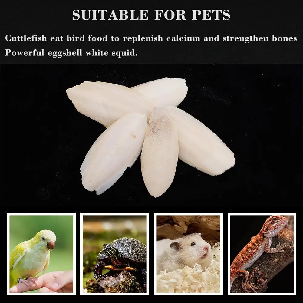 🦜🔔 Parrot Calcium Cuttlefish Bone Perch with Hanging Bell