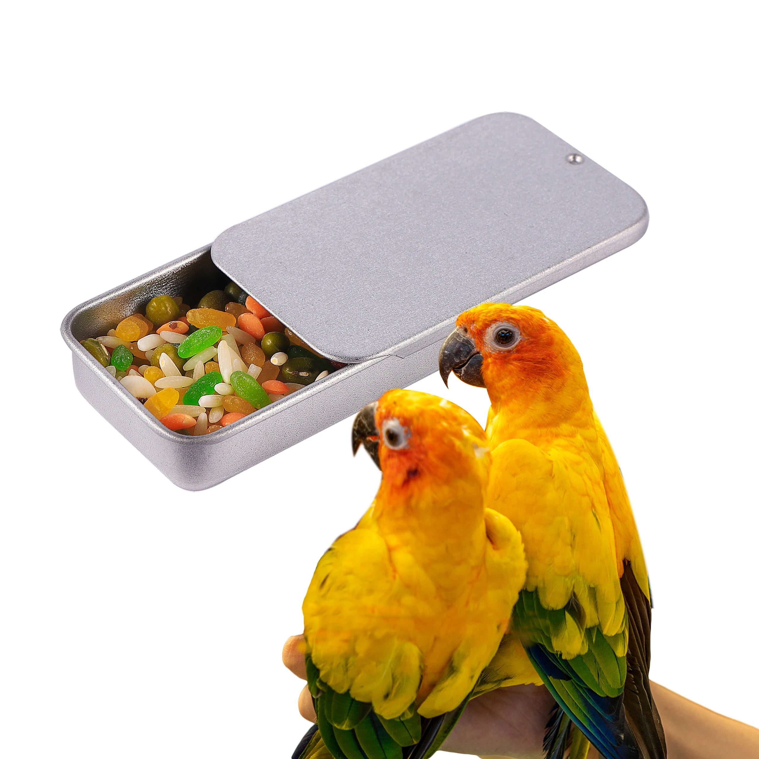 🦜🎁 Mini Handheld Bird Training Food Box – Portable Reward Feeder