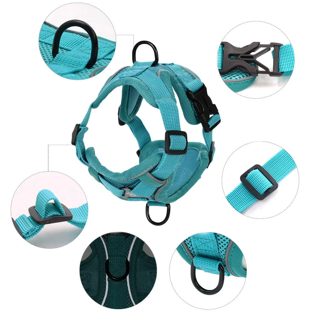 🐾🎽 Breathable Reflective Cat & Small Dog Harness with Leash
