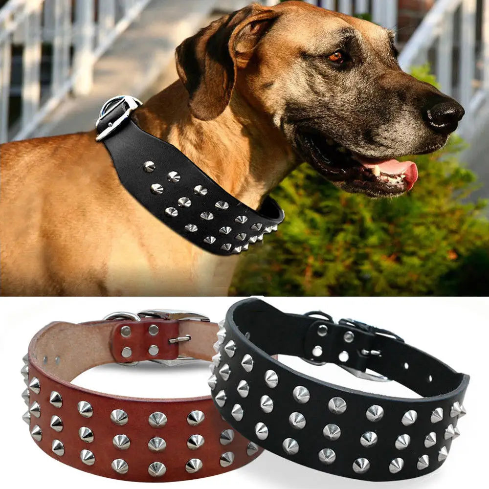 🐕🖤 Genuine Leather Dog Collar – Studded & Spiked Rivet Collar for Large Dogs | Pitbull, Mastiff, Boxer (XS–L)