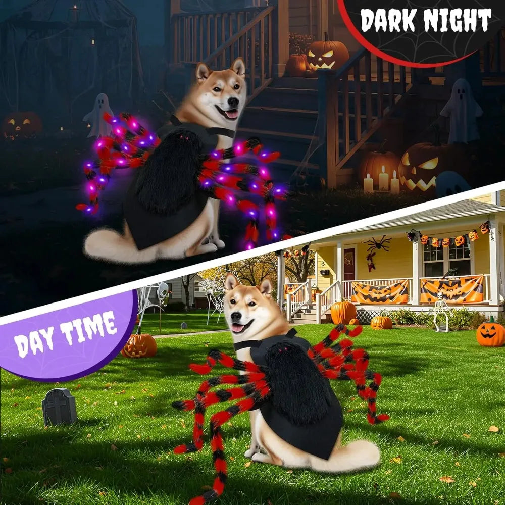 LED Spider Dog Costume – Funny Halloween Outfit for Large Dogs