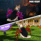 LED Spider Dog Costume – Funny Halloween Outfit for Large Dogs