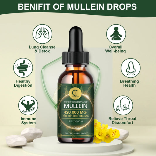 🌿 Mullein Leaf Extract Drops 2 Fl Oz | Lung & Respiratory Support 💨 | Immune & Detox Wellness 💪🌱 | Pure Herbal Liquid Supplement