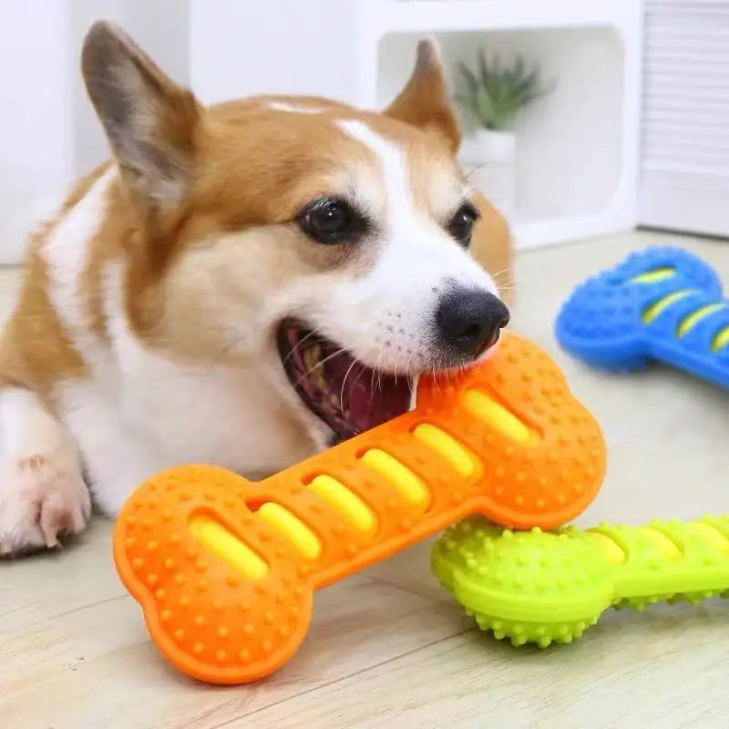 🦴🐶 Rubber Bone Dog Chew Toy – Bite Resistant Squeaky Interactive