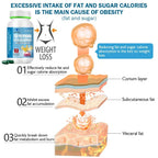 🔥💃 Women’s Belly Fat Burner – Reduce Bloating, Support Hormonal Balance & Target Stubborn Stomach Fat