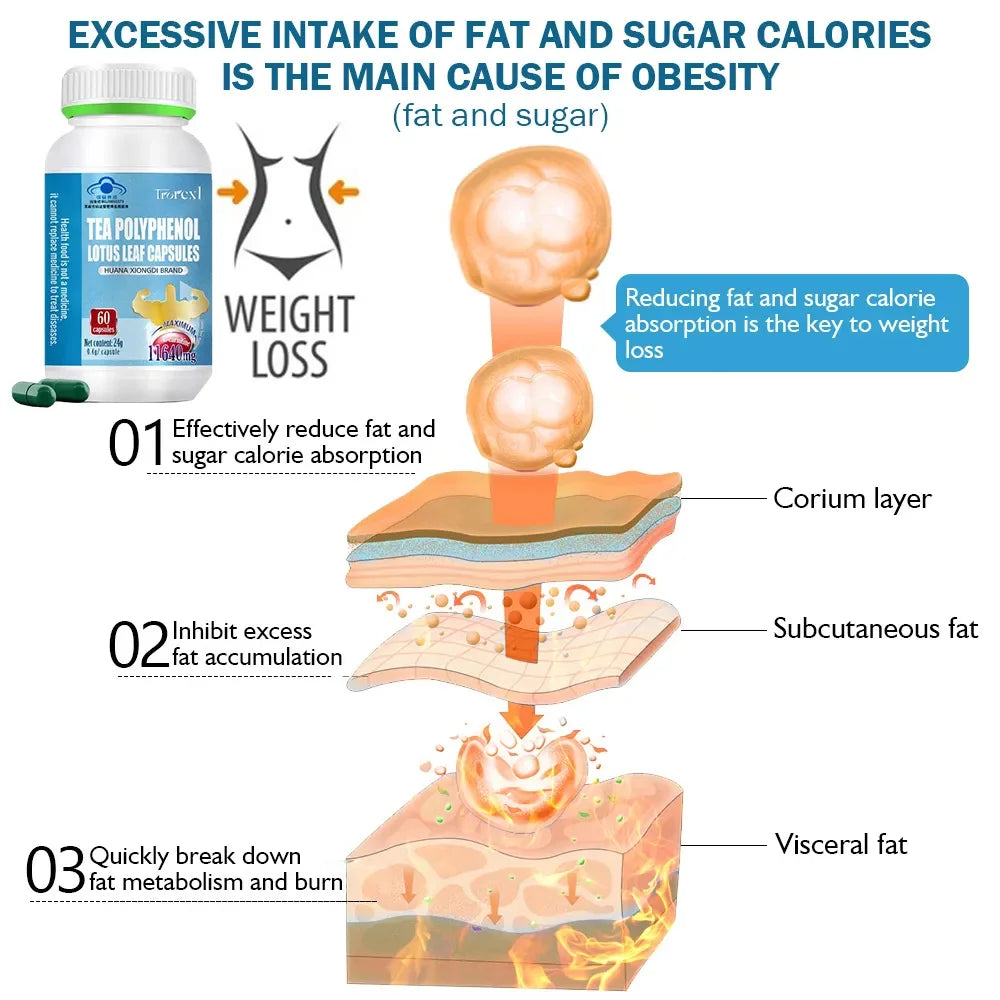 🔥💃 Women’s Belly Fat Burner – Reduce Bloating, Support Hormonal Balance & Target Stubborn Stomach Fat