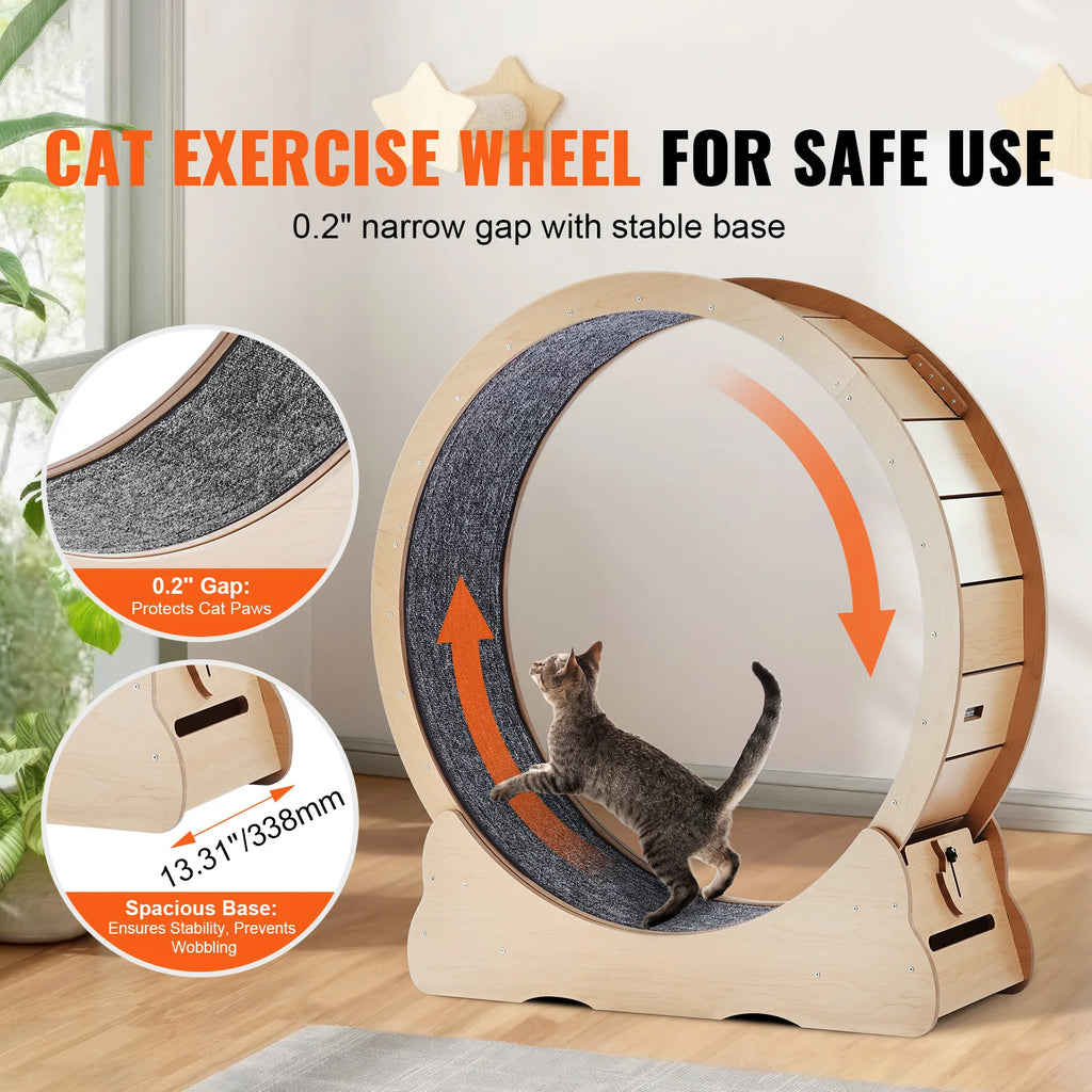 🐱🏃‍♀️ SucceBuy Wooden Cat Exercise Wheel – Large Indoor Treadmill 🔎 SEO Title