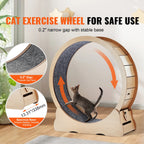 🐱🏃‍♀️ SucceBuy Wooden Cat Exercise Wheel – Large Indoor Treadmill 🔎 SEO Title