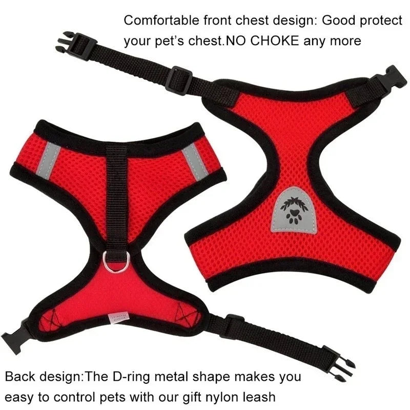 🐾🎽 Adjustable Mesh Cat & Small Dog Harness Vest with Leash