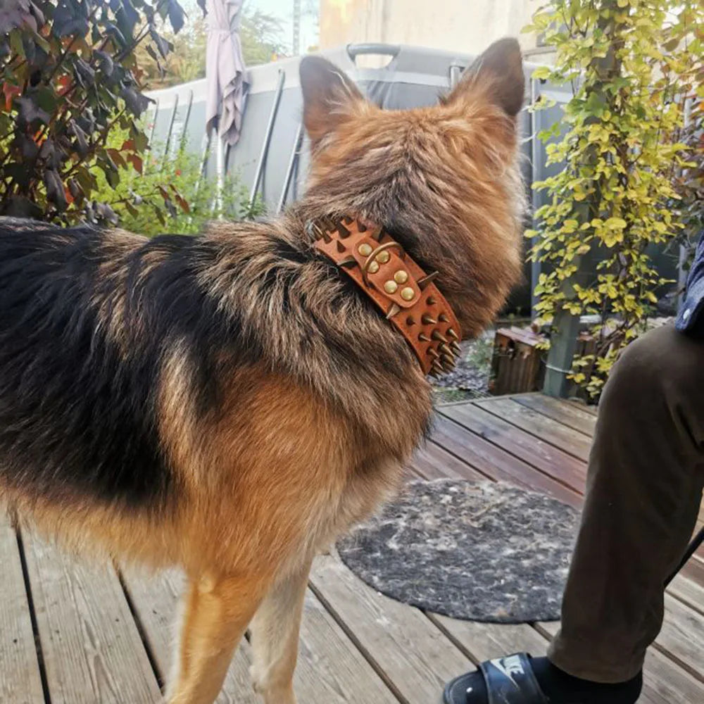 🐕🛡️ Heavy Duty Wide Dog Collar – Comfortable Spiked Leather Collar for Extra Large Dogs & Shepherds