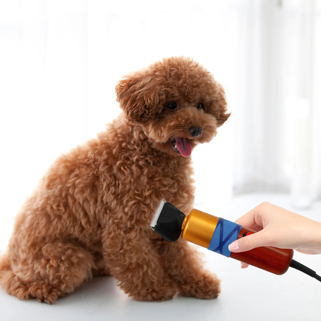 🐶✂️ Professional Pet Hair Clipper – Low Noise Variable Speed Grooming Machine