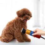 🐶✂️ Professional Pet Hair Clipper – Low Noise Variable Speed Grooming Machine