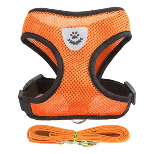 🐾🎽 Adjustable Mesh Cat & Small Dog Harness Vest with Leash