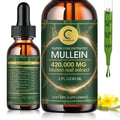 🌿 Mullein Leaf Extract Drops 2 Fl Oz | Lung & Respiratory Support 💨 | Immune & Detox Wellness 💪🌱 | Pure Herbal Liquid Supplement