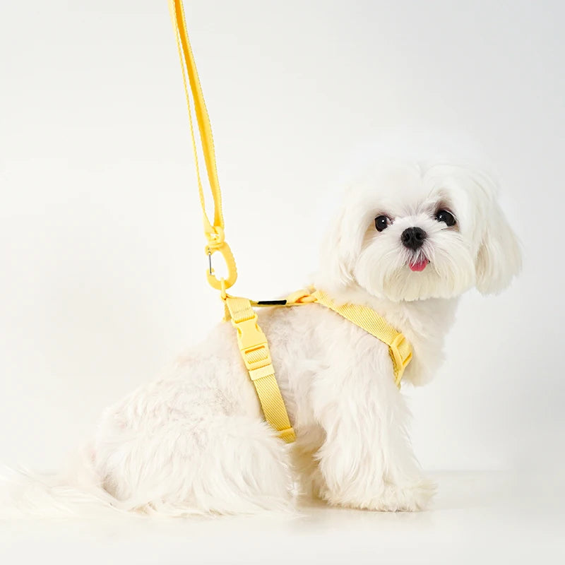 🌈🐾 Macaron Color Dog Harness Collar & Leash Set – Reflective