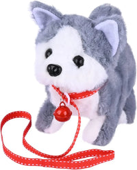 Husky Dog