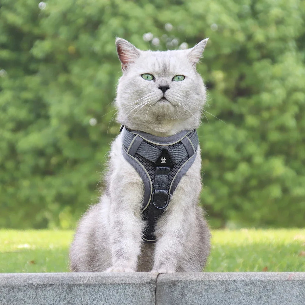 🐾🎽 Tactical Reflective Cat & Small Dog Harness with Leash