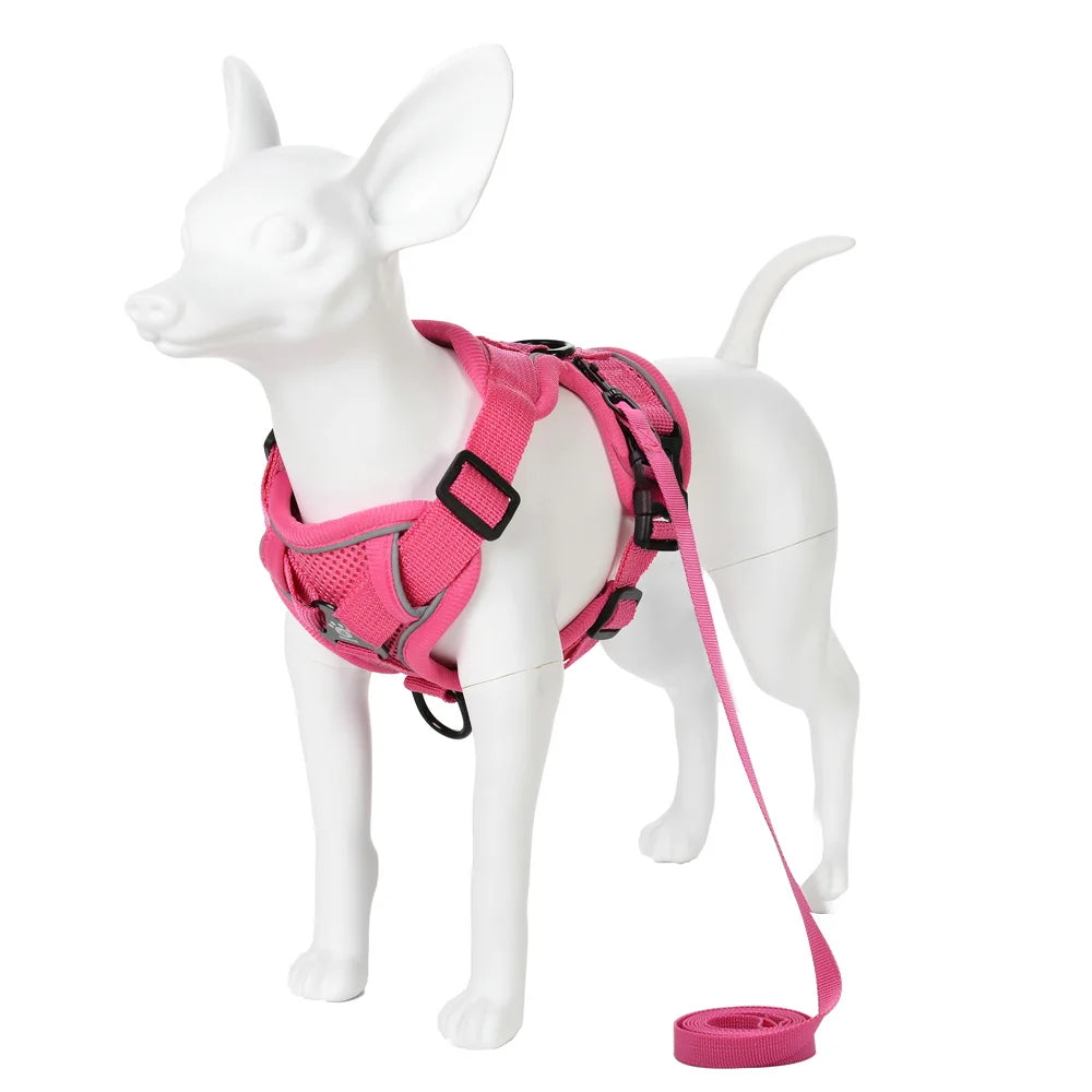 🐾🎽 Breathable Reflective Cat & Small Dog Harness with Leash