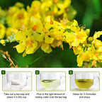 🌿 Mullein Leaf Tea Bags – Caffeine-Free Herbal Tea for Lung & Respiratory Wellness (28 or 60 Bags)