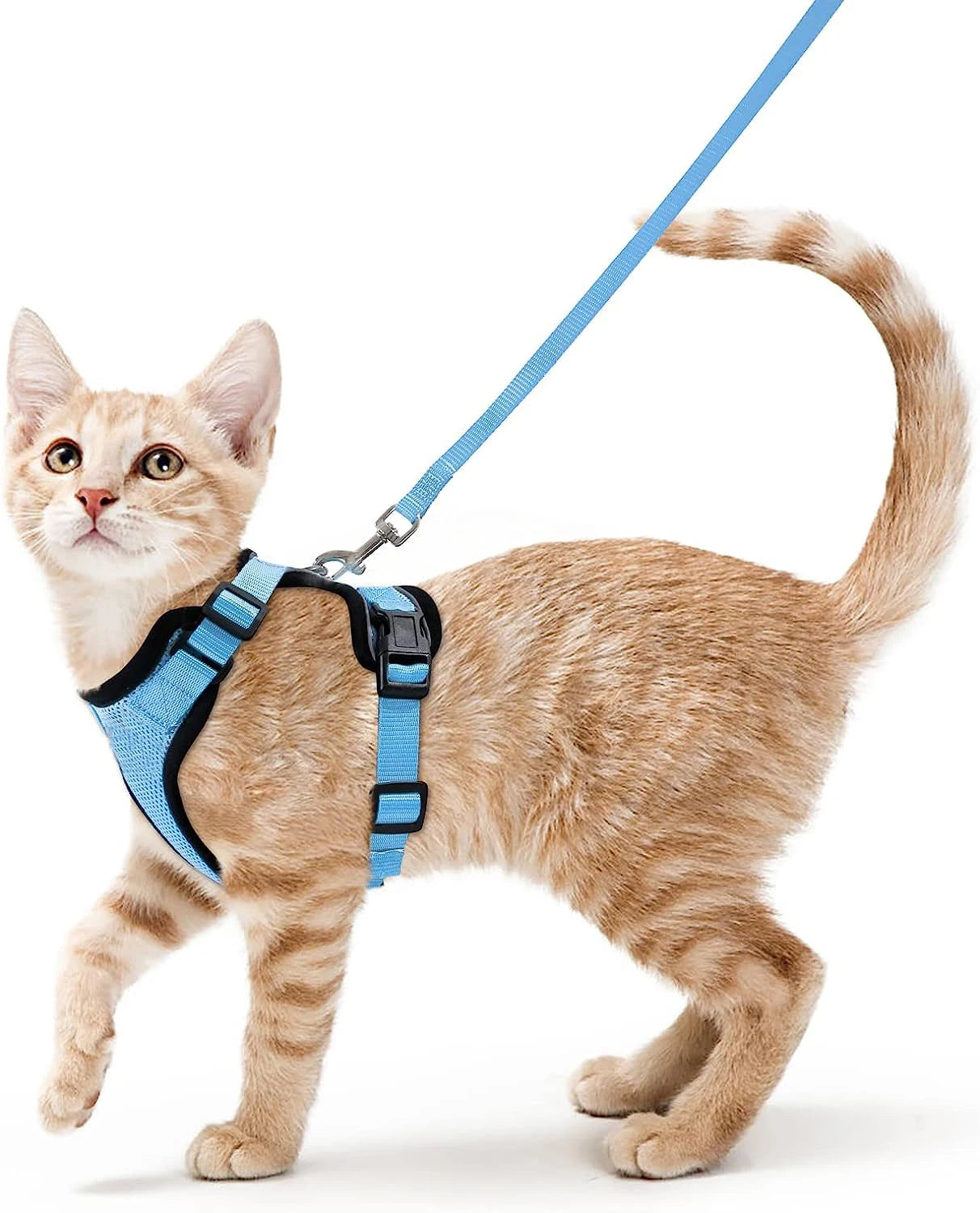 🐱🐾 Escape-Proof Cat Harness and Leash | Soft Adjustable Vest Harness for Walking 🌿 | Easy Control & Comfortable Outdoor Cat Gear